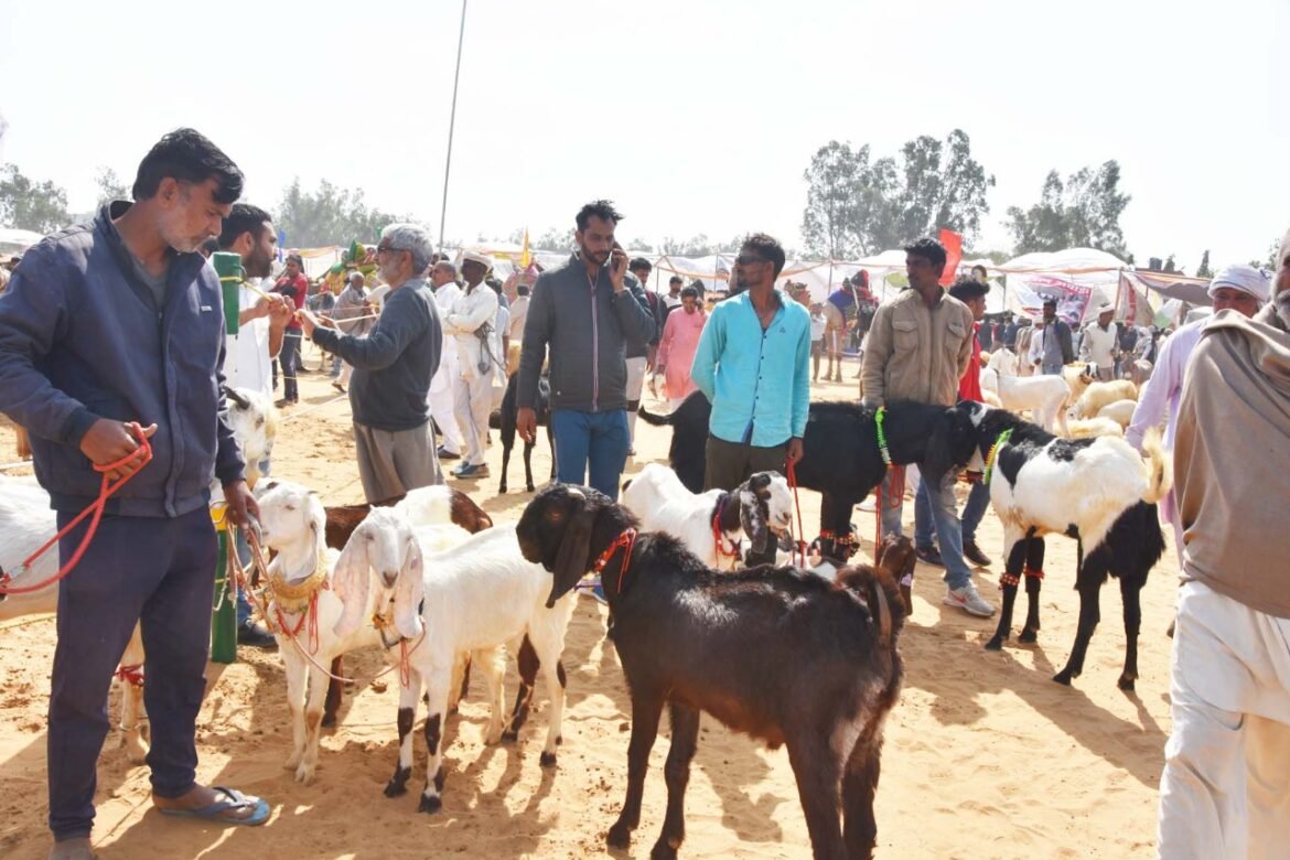 पशु प्रदर्शनी ने भरा पशु पालकों में जोश