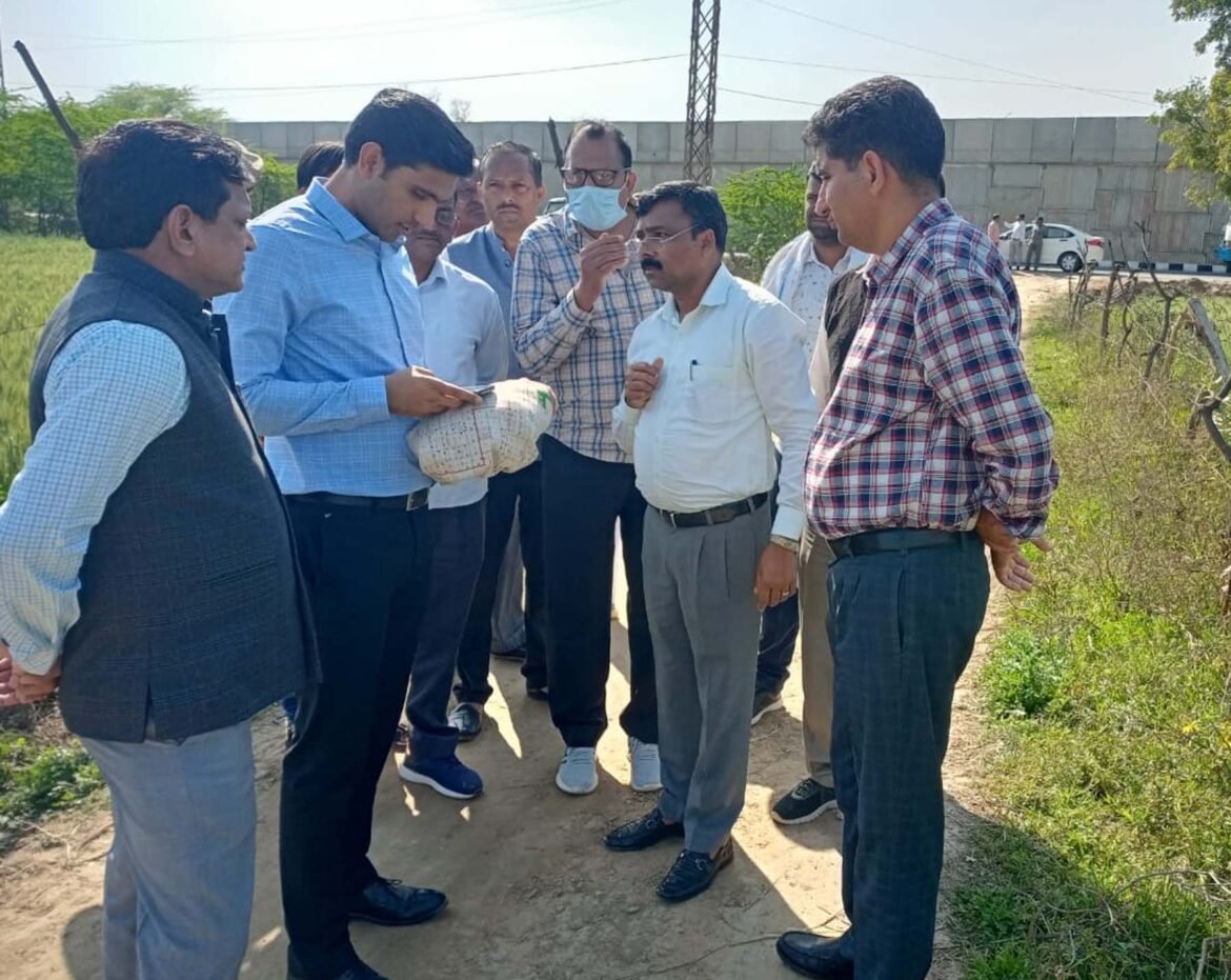गुरुग्राम के गांव घामड़ोज में फसल गिरदावरी का वेरिफिकेशन करते उपायुक्त निशांत कुमार यादव।