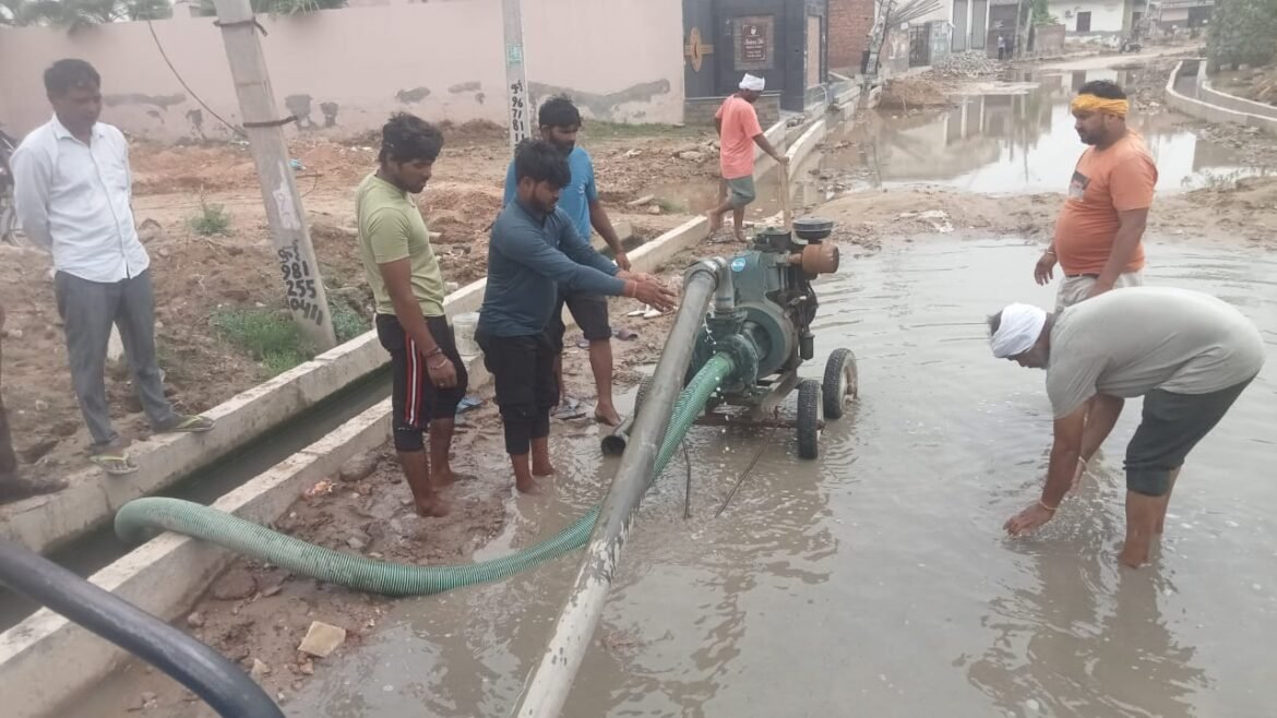 आईएएस अंकित कुमार चौकसे ने संभाला झज्जर उपमंडल के   एसडीएम का पदभार