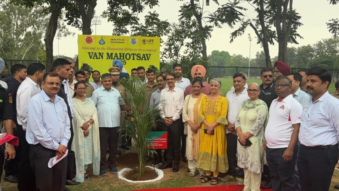 हरियाली की ओर एक कदम: पेक ने मनाया वन महोत्सव 2025